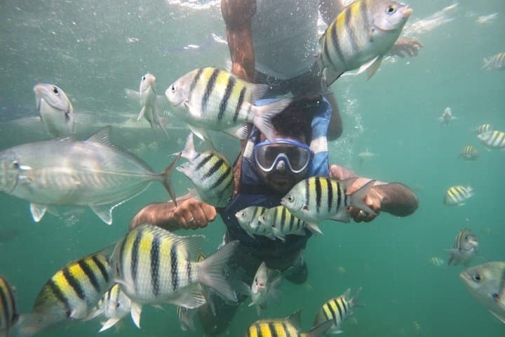 Experiencia de Shekina Tours en Cartagena